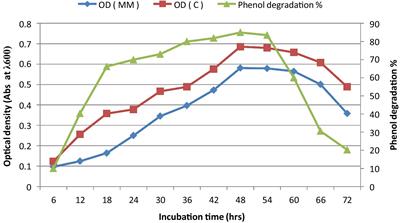 Aerobic phenol degradation using native bacterial consortium via ortho–and meta–cleavage pathways